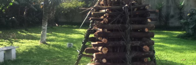 Algumas fotos de 2013