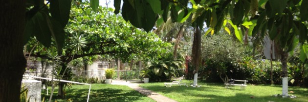 Jardim